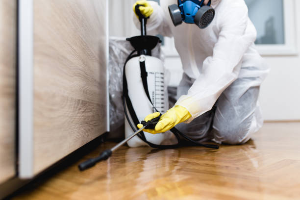 Best Pest Prevention Services  in Pinetop Country Clu, AZ
