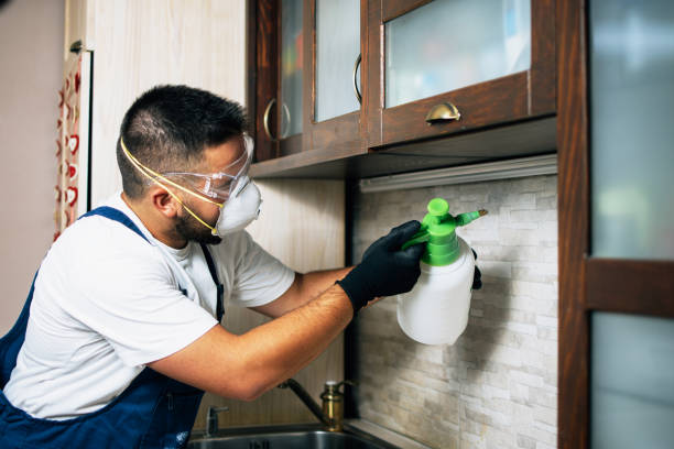 Best Best Pest Control Companies  in Pinetop Country Clu, AZ