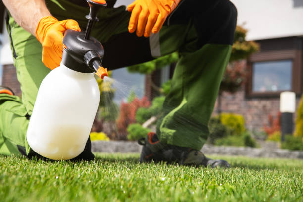 Insect Control in Pinetop Country Clu, AZ