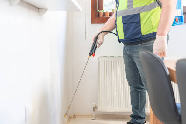 Best Termite Control Services  in Pinetop Country Clu, AZ