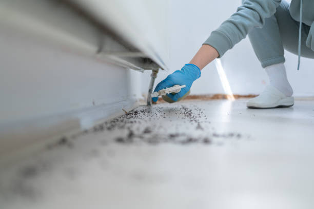 Pinetop Country Clu, AZ Pest Control Company