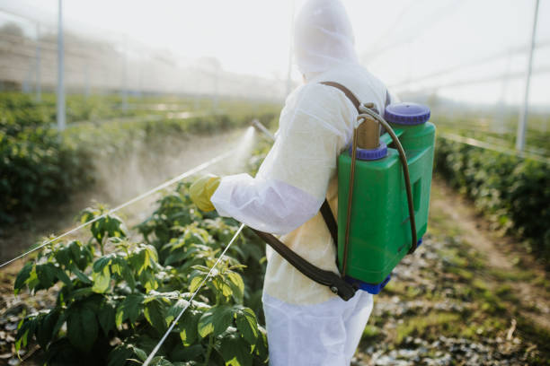  Pinetop Country Clu, AZ Pest Control Pros